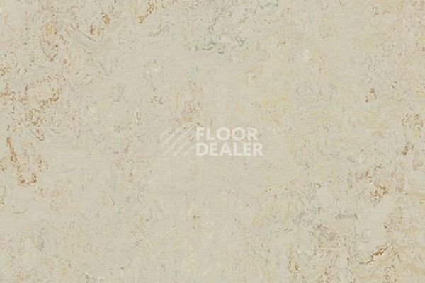 Линолеум Marmoleum Decibel on Order 343335 rockpool фото 1 | FLOORDEALER